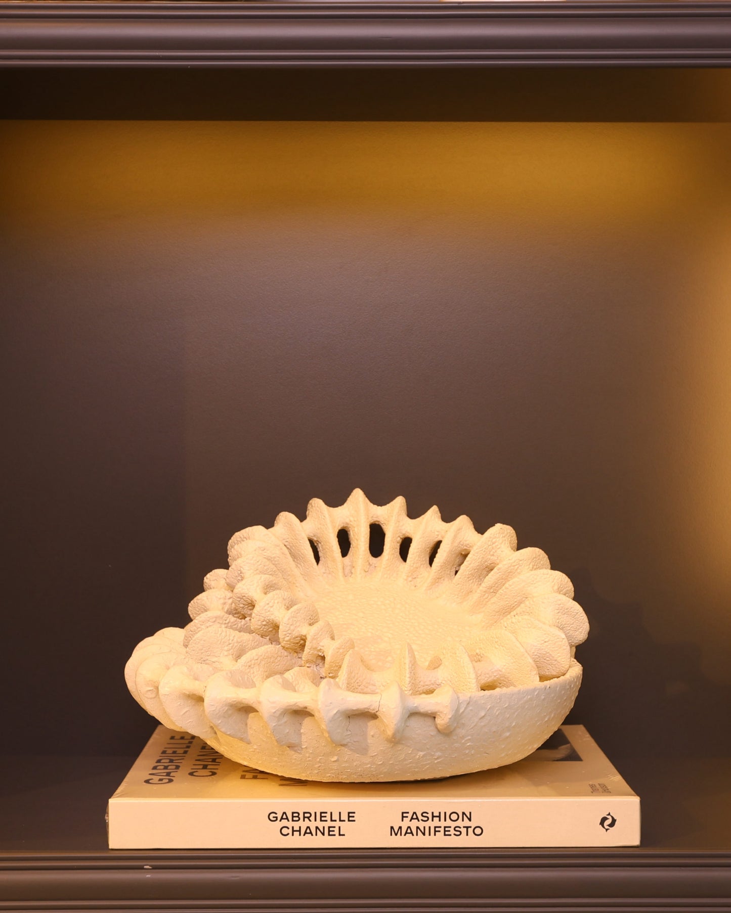 Coral Shell Bowl – Krem Mercan Formlu Geniş Kase