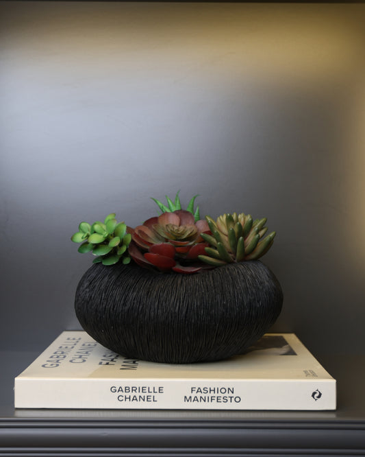 Siyah Seramik Saksı & Sukulent Aranjmanı