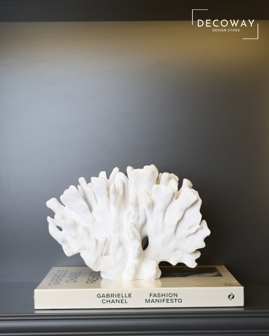 White Fan Coral – Beyaz Mercan Yelpaze Form