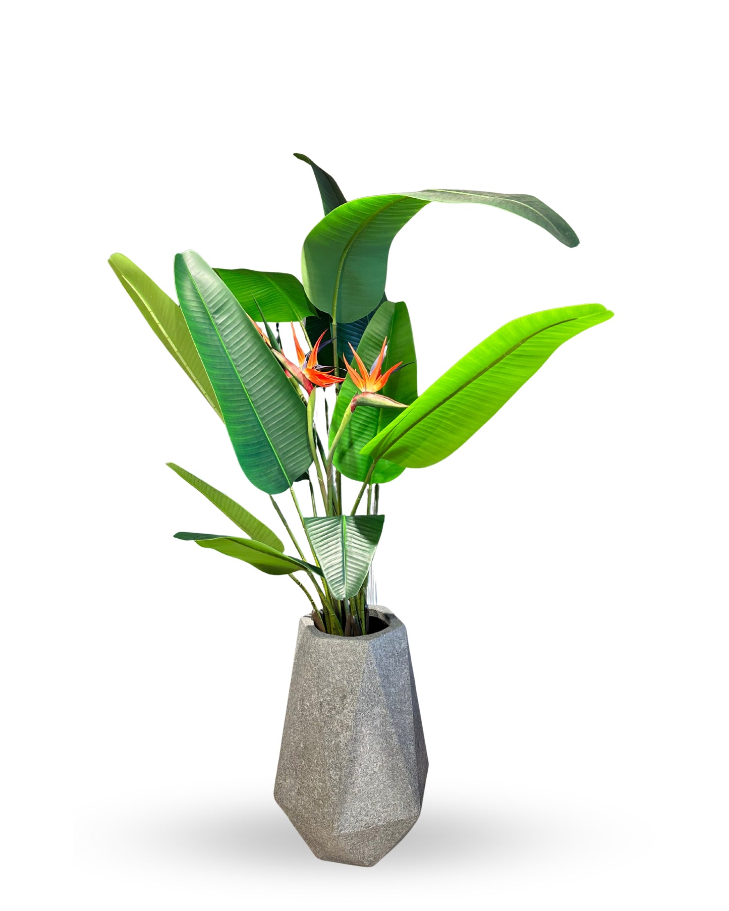 Yapay Çiçekli Starliçe (Strelitzia) – 180 cm 🌺🌿