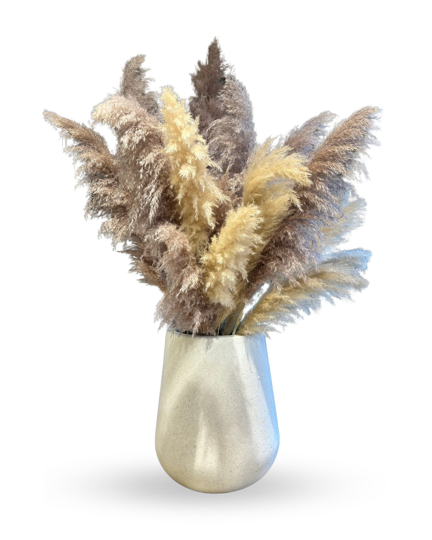 Gerçek Kurutulmuş Pampas Otu – 5 Farklı Boy (55 cm – 120 cm) 🌾