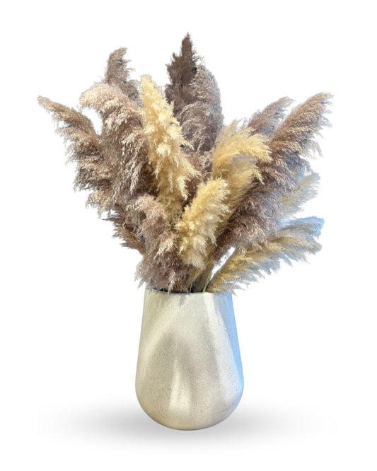 Gerçek Kurutulmuş Pampas Otu – 5 Farklı Boy (55 cm – 120 cm) 🌾